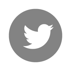 twitter social icon